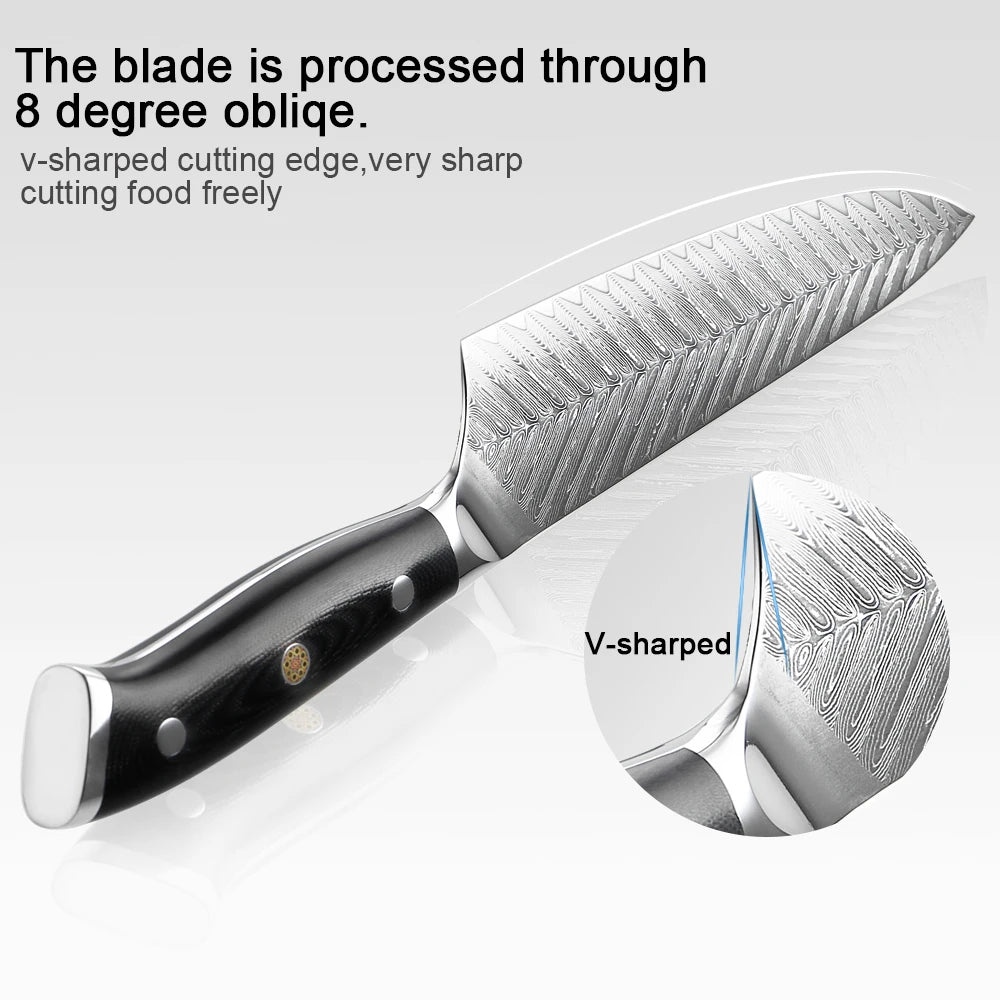 Aokami Forged Damascus Set